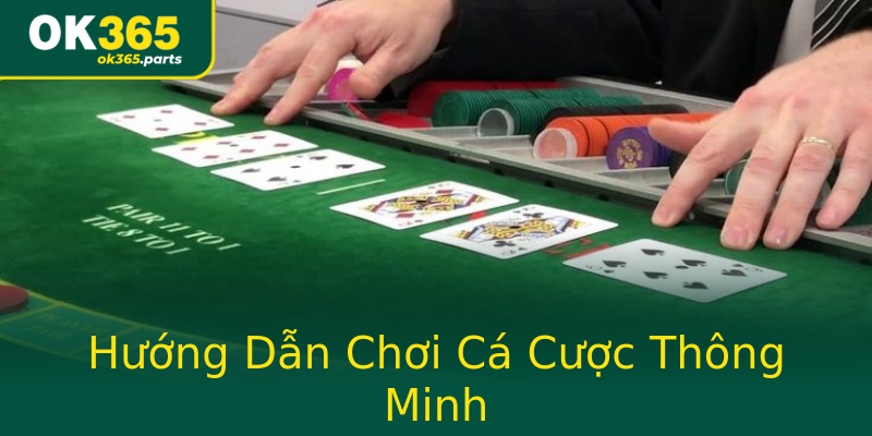 Hướng Dẫn Chơi Cá Cược Thông Minh Hướng Dẫn Chơi Cá Cược Thông Minh