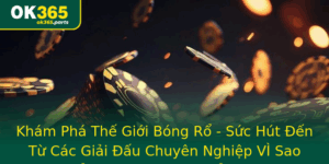 Kham Pha The Gioi Bong Ro Suc Hut En Tu Cac Giai Au Chuyen Nghiep Vi Sao Bong Ro Tro Thanh Mon The T