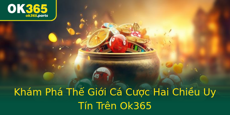 Khám Phá Thế Giới Cá Cược Hai Chiều Uy Tín Trên Ok365 Khám Phá Thế Giới Cá Cược Hai Chiều Uy Tín Trên Ok365