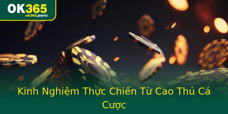Kinh Nghiệm Thực Chiến Từ Cao Thủ Cá Cược Kinh Nghiệm Thực Chiến Từ Cao Thủ Cá Cược