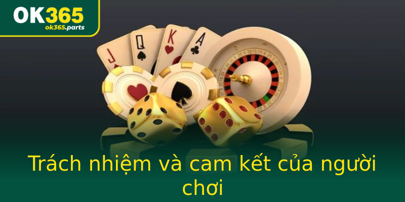 Trách nhiệm và cam kết của người chơi Trách nhiệm và cam kết của người chơi